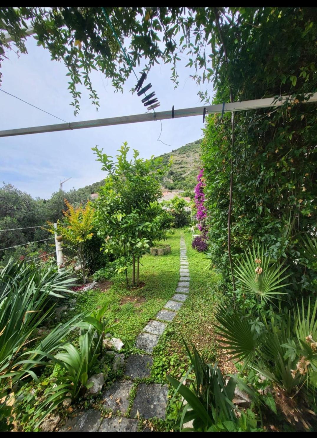 Greengarden Dubrovnik Dış mekan fotoğraf